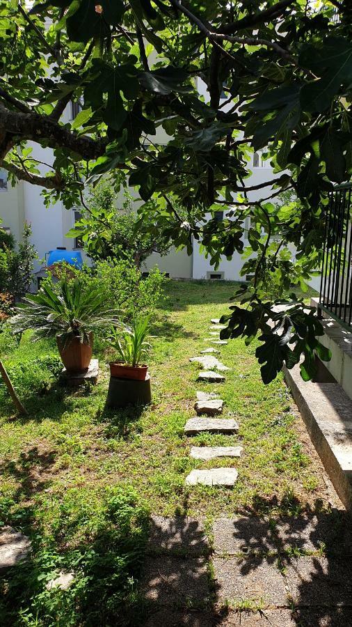 Lav Apartments Herceg Novi Esterno foto