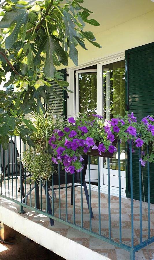 Lav Apartments Herceg Novi Esterno foto